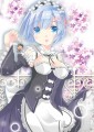 スーパーヒロインタイムのレムさん