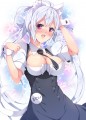 サイネリア。