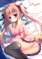 留守番わんこ
