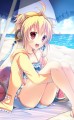 海と！スイカと！アンチラちゃん！