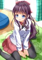 ひふみん