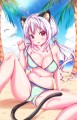 猫☆SUMMER