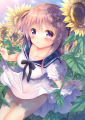 向日葵畑で秘密の×××