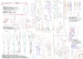 お手軽　足とか講座/祐佑