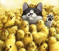 もふもふぬくぬく/瞬く