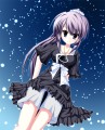 戦場ヶ原ひたぎ 完全版/葉山トキ