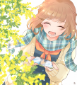 ミモザの咲く頃に
