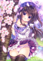 また会えたね！🌸