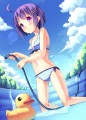 ちっぱい×ビキニ