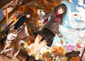 紅葉の散歩