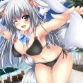 銀狐さんと夏のオアシス