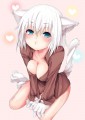 猫耳娘