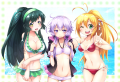 夏です、水着です！