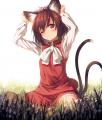 だいだいいろのねこ