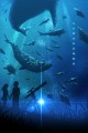 天海観測
