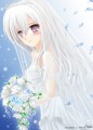 純白の花嫁/Hati