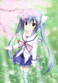 サクラは笑顔を咲かせる/蒼弓りん