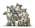 mortar team/ky