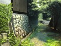 秘密の小道
