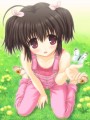モンシロチョウ♪