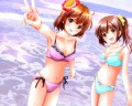夏の思い出